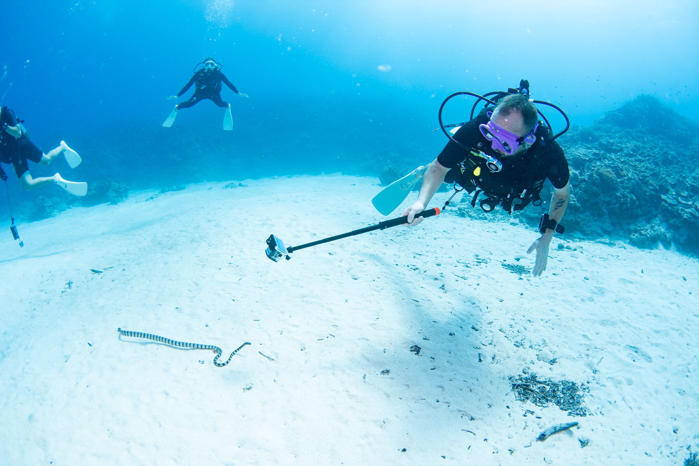 Guests enjoying scuba diving in the Kerama Islands.