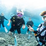 Kerama Islands Diving Tour with Guests from France and Spain