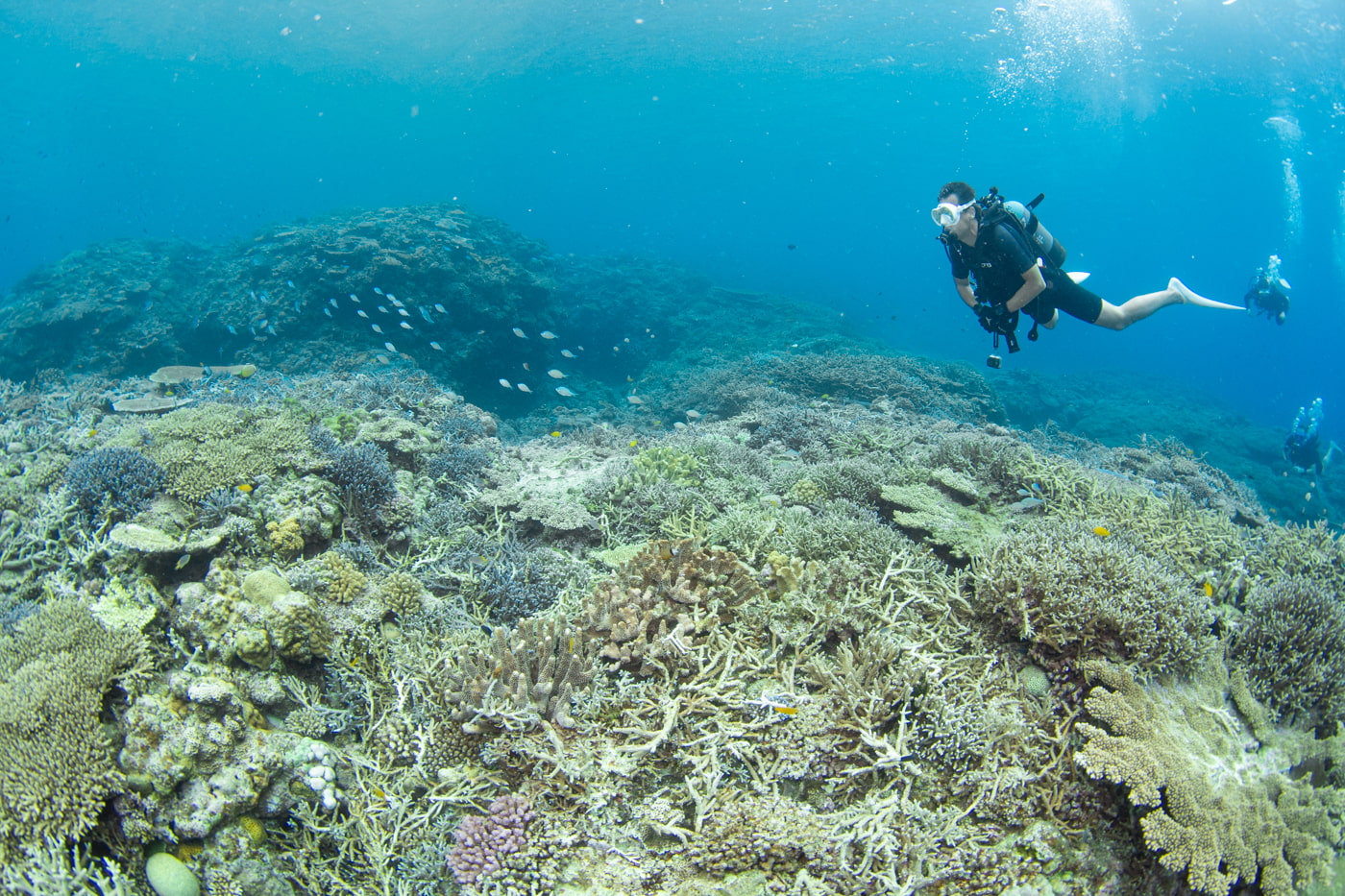 Underwater scenery