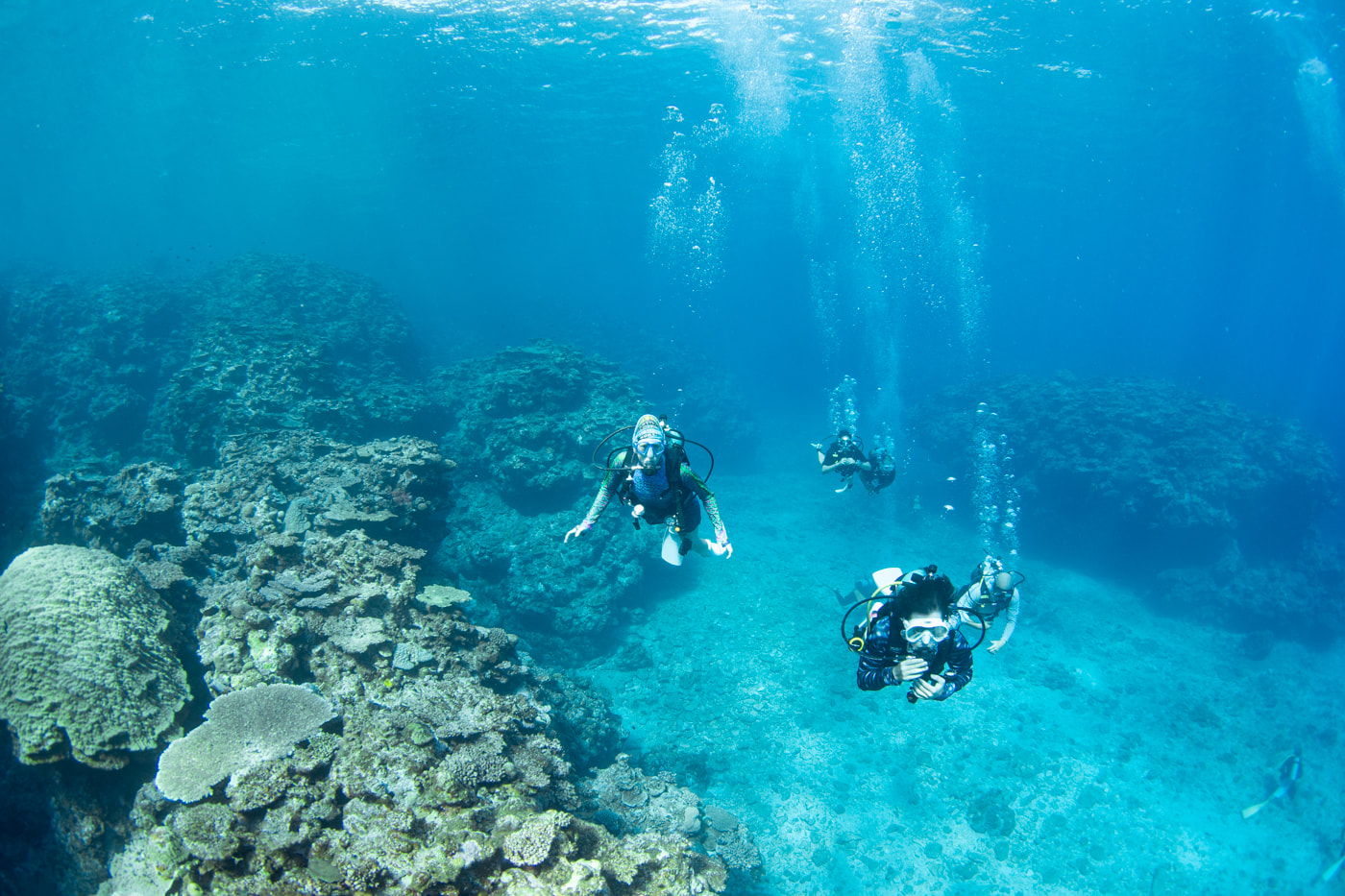 Guests enjoying scuba diving in the Kerama Islands.