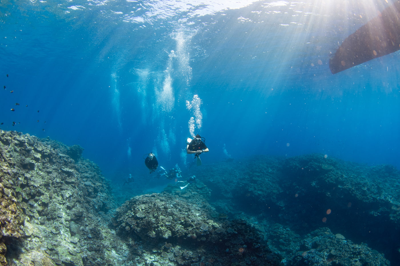 Underwater scenery