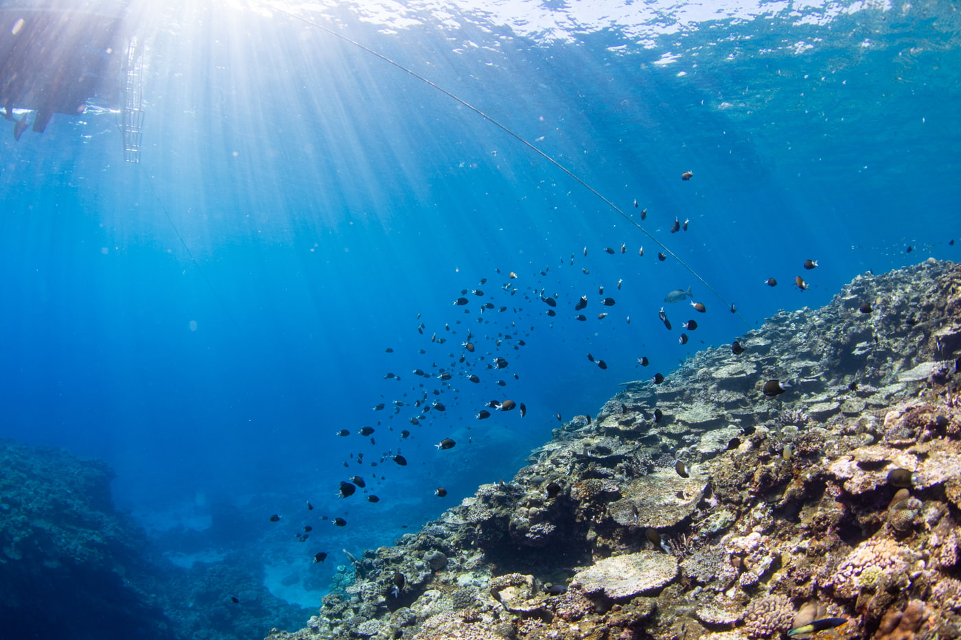 Underwater scenery
