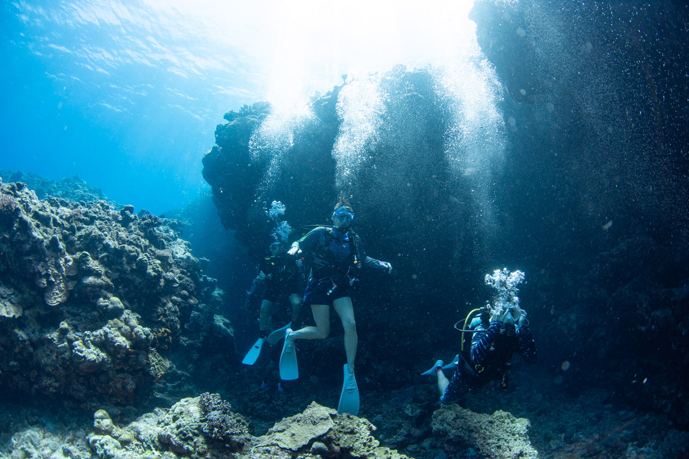 Guests enjoying scuba diving in the Kerama Islands.