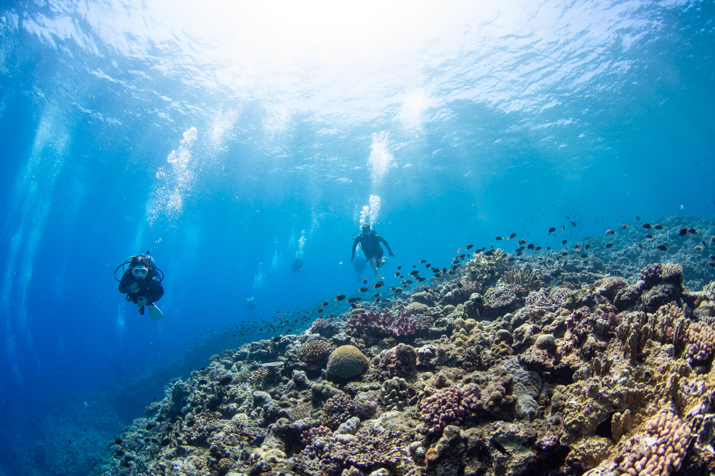 Underwater scenery