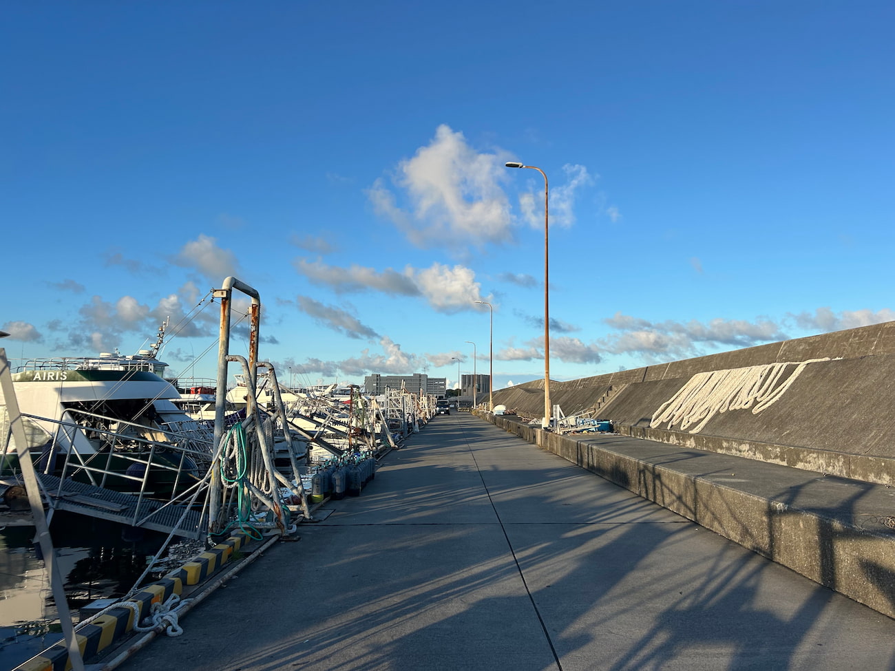 in the morning at the harbor