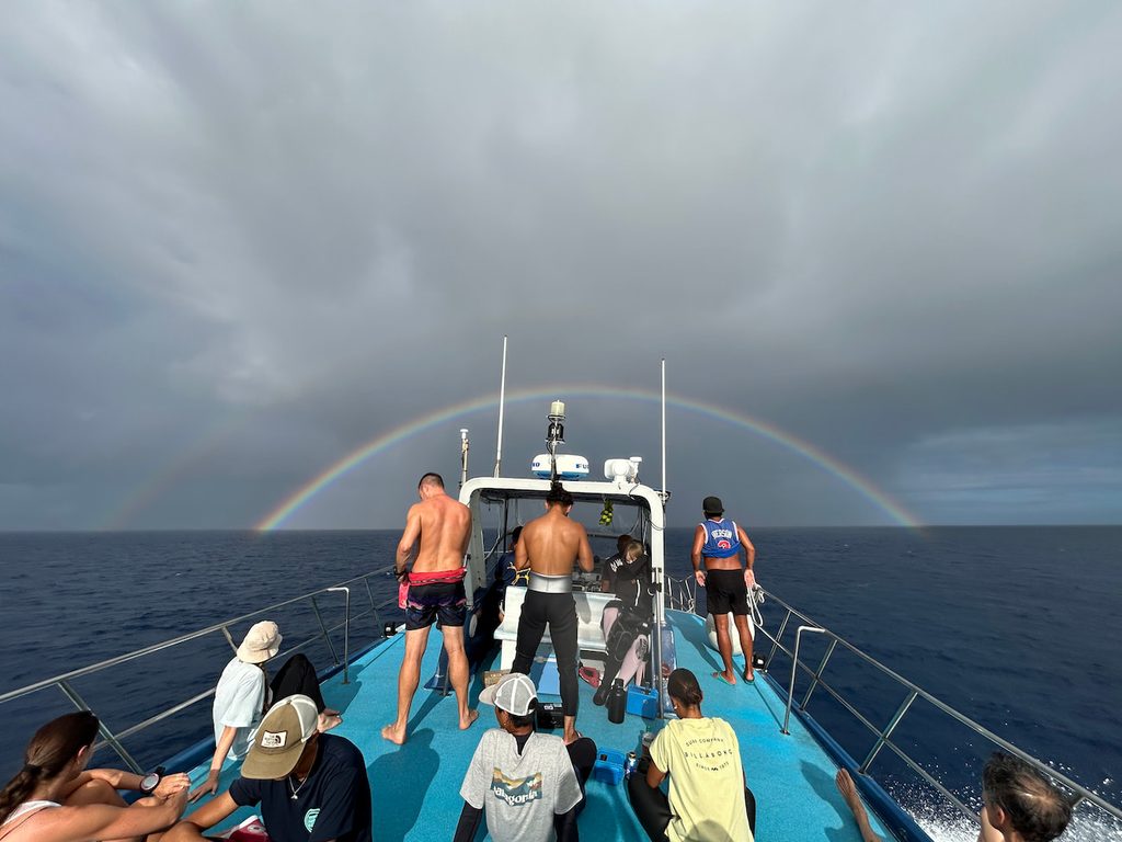 Rainbow